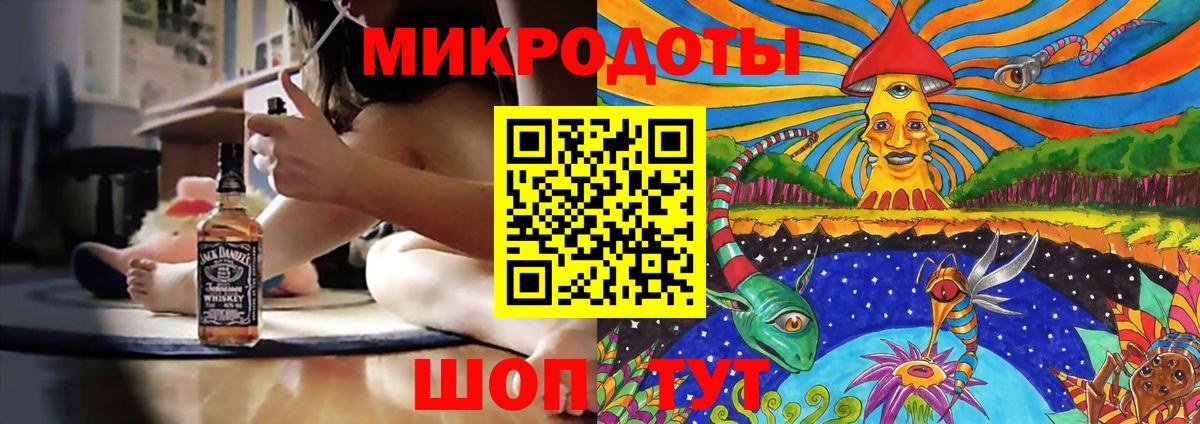 Псилоцибиновые грибы Psilocybe Стрежевой