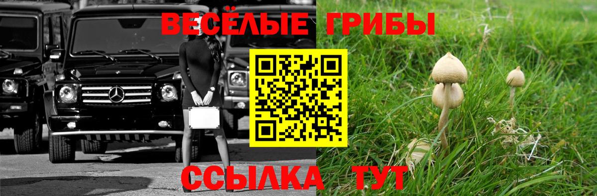 Псилоцибиновые грибы Magic Shrooms  Псилоцибиновые грибы ЛСД  где купить наркотик  Стрежевой  Вход с VPN 